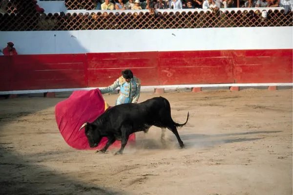 西班牙斗牛士为什么要挥舞红色的布呢？