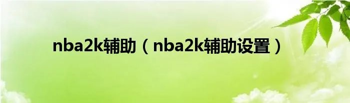 nba2k辅助（nba2k辅助设置）