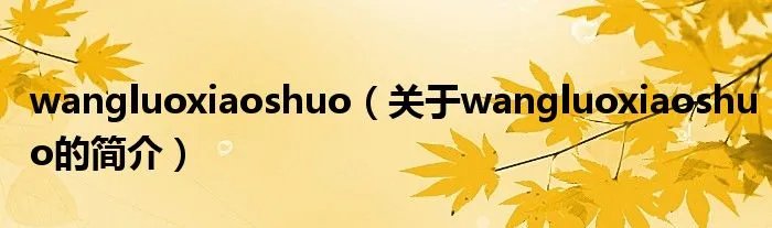 wangluoxiaoshuo（关于wangluoxiaoshuo的简介）