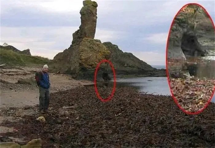 菲尼克斯之光事件