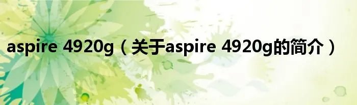 aspire 4920g（关于aspire 4920g的简介）