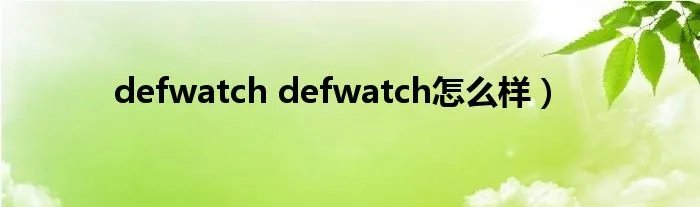 defwatch defwatch怎么样）