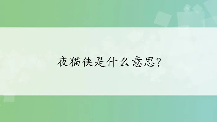 夜猫侠是什么意思？