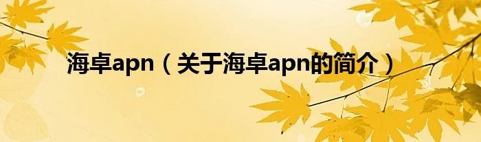 海卓apn（关于海卓apn的简介）