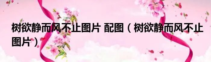 树欲静而风不止图片 配图（树欲静而风不止图片）