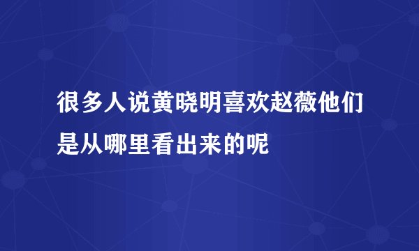 很多人说黄晓明喜欢赵薇他们是从哪里看出来的呢