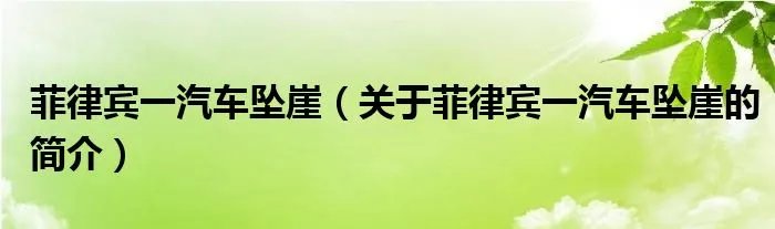 菲律宾一汽车坠崖（关于菲律宾一汽车坠崖的简介）