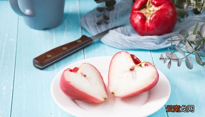 莲雾和释迦区别