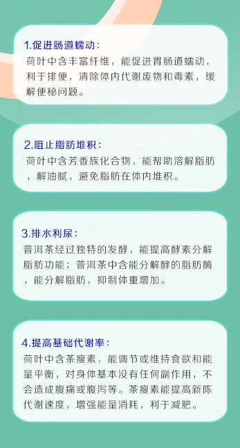 荷叶减肥是真的吗