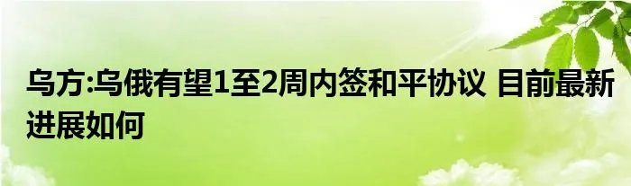 乌方:乌俄有望1至2周内签和平协议 目前最新进展如何
