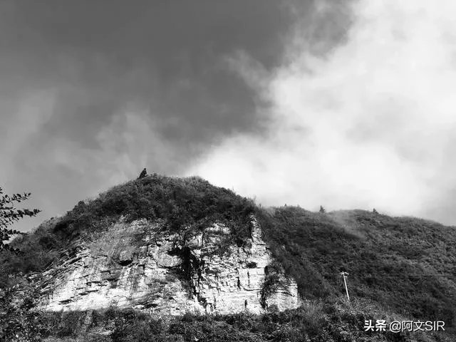 什么是单色照片作品?