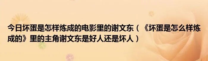 今日坏蛋是怎样炼成的电影里的谢文东（《坏蛋是怎么样炼成的》里的主角谢文东是好人还是坏人）