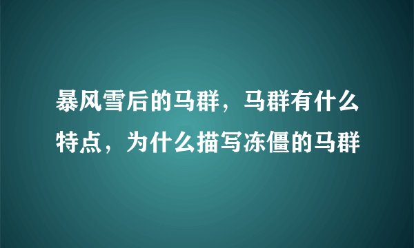 暴风雪后的马群，马群有什么特点，为什么描写冻僵的马群