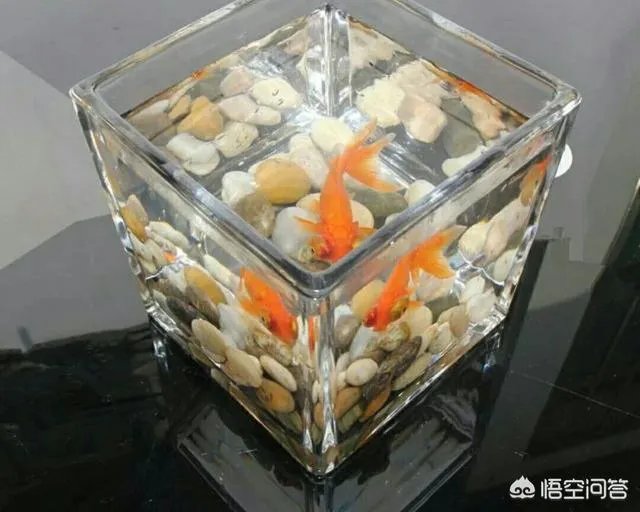 什么时候天上会出现三个太阳?