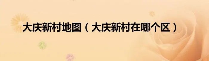 大庆新村地图（大庆新村在哪个区）