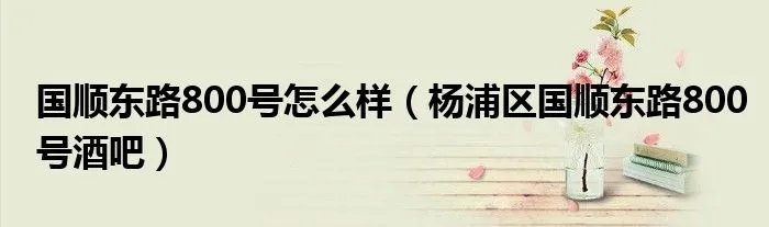 国顺东路800号怎么样（杨浦区国顺东路800号酒吧）