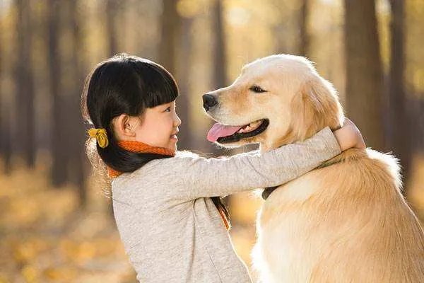 牵狗女孩想向老人家属道歉，这孩子该被原谅么？