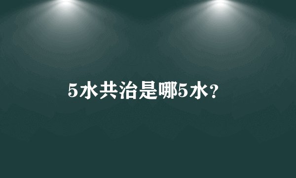 5水共治是哪5水？