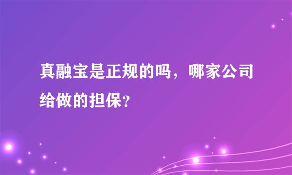 真融宝是正规的吗，哪家公司给做的担保？