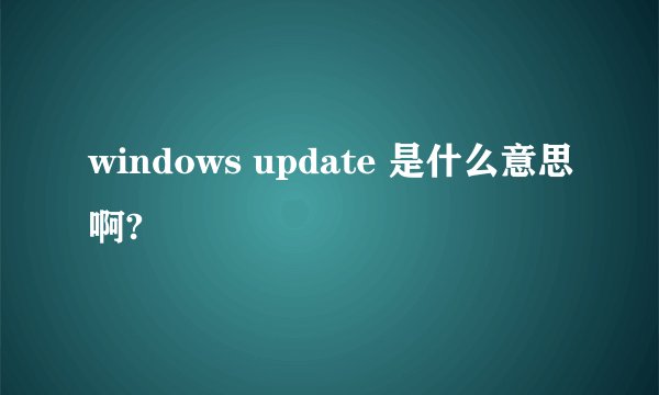 windows update 是什么意思啊?