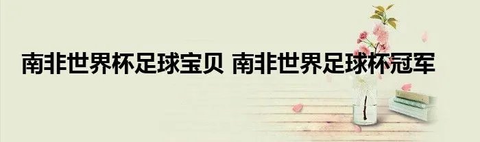 南非世界杯足球宝贝 南非世界足球杯冠军