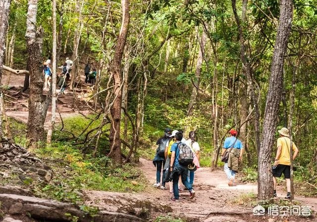 池州的肖坑大峡谷怎么样？