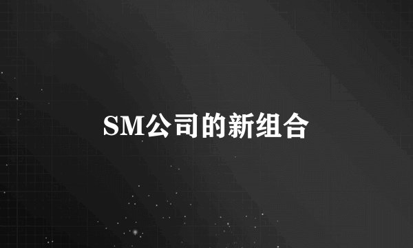 SM公司的新组合