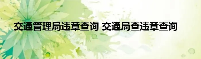 交通管理局违章查询 交通局查违章查询