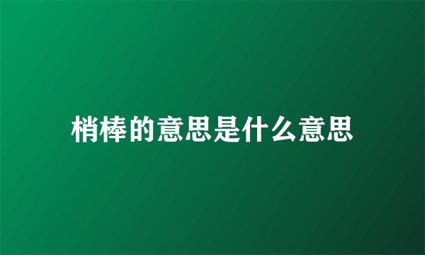 梢棒的意思是什么意思