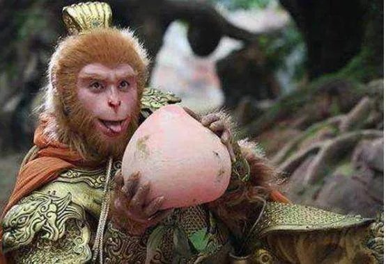 孙悟空定住七仙女后，对她们做了什么事呢？