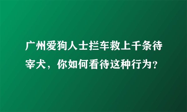 广州爱狗人士拦车救上千条待宰犬，你如何看待这种行为？