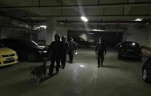 你怎么看保安携哈士奇巡逻？