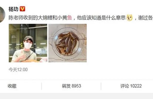 杨玏机场被送鱼什么情况 三十而已中的陈养鱼果然是名不虚传