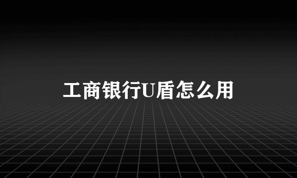 工商银行U盾怎么用