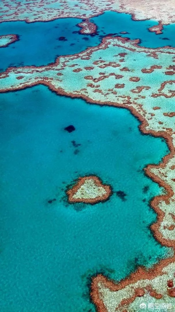 大考当前，到底忙了谁？