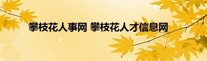 攀枝花人事网 攀枝花人才信息网