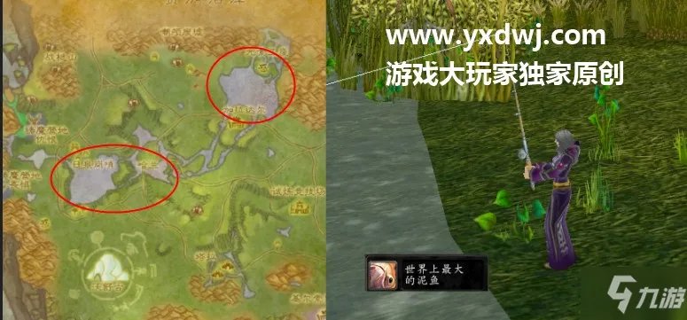 tbc钓鱼日常世界上最大的泥鱼-世界上最大的泥鱼在哪钓？