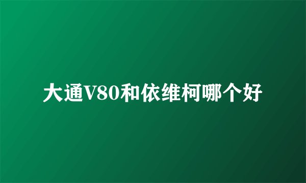 大通V80和依维柯哪个好