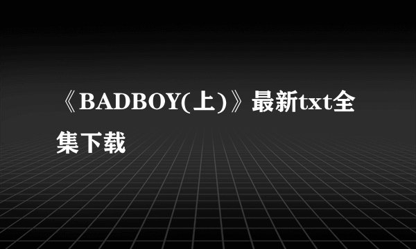 《BADBOY(上)》最新txt全集下载