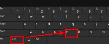 复制和粘贴的快捷键分别是什么？