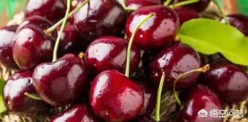 水果礼盒的制作技巧是怎么样的？