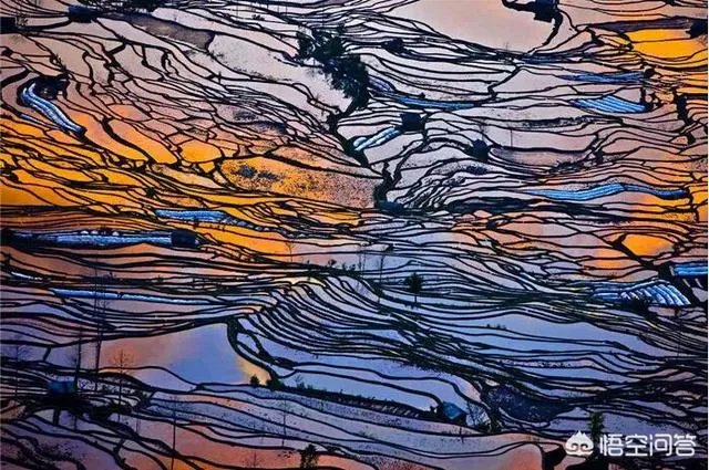 3月份最适合旅游的地方是哪里？