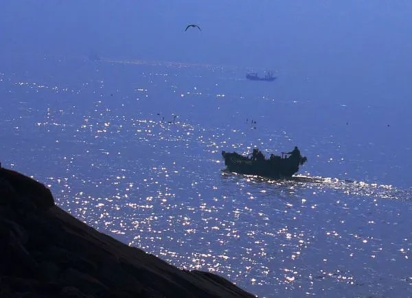 向东是大海的剧情简介