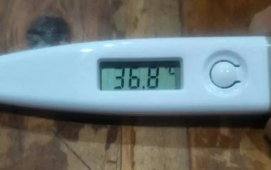 女性排卵期体温曲线图