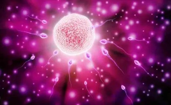 女性排卵期体温曲线图