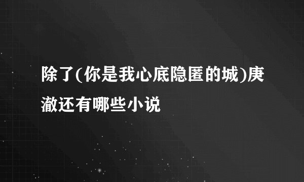 除了(你是我心底隐匿的城)庚澈还有哪些小说