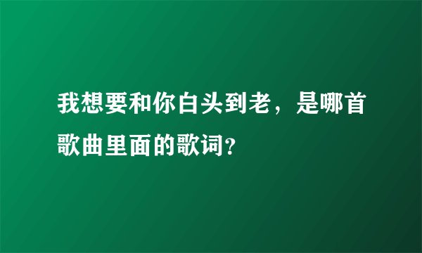 我想要和你白头到老，是哪首歌曲里面的歌词？