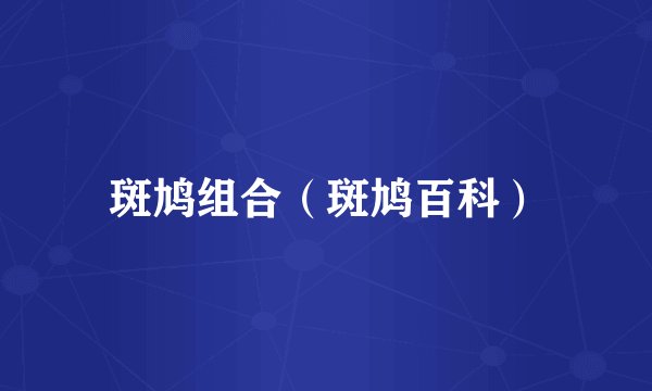 斑鸠组合（斑鸠百科）