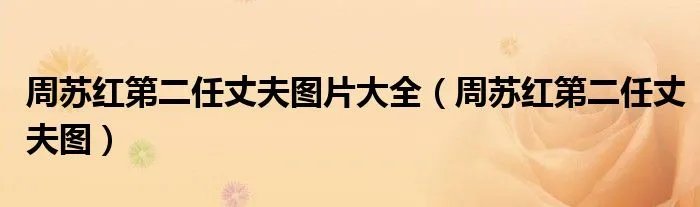 周苏红第二任丈夫图片大全（周苏红第二任丈夫图）