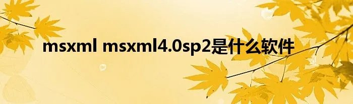 msxml msxml4.0sp2是什么软件